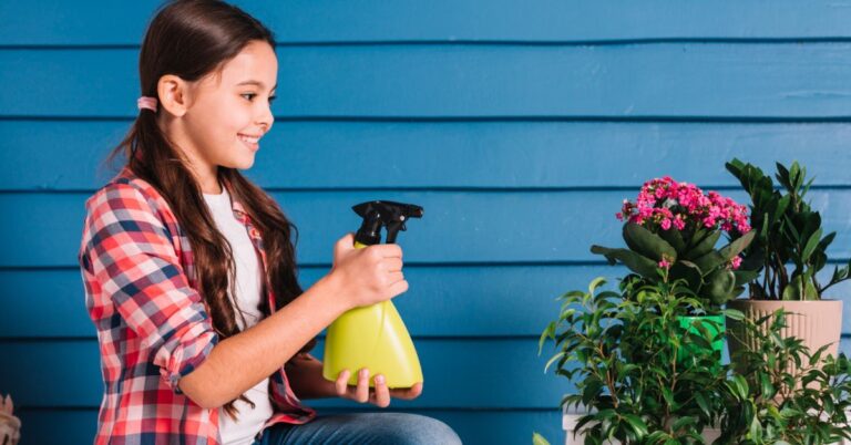 How to Keep Outdoor Living Spaces Clean Year-Round