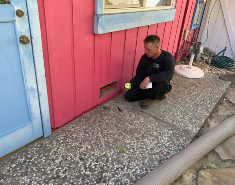 Rodent Inspection