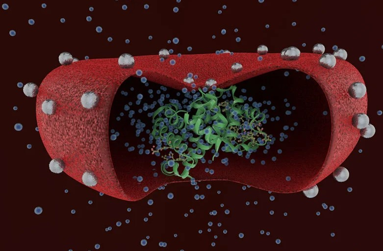 Scientific Illustrations